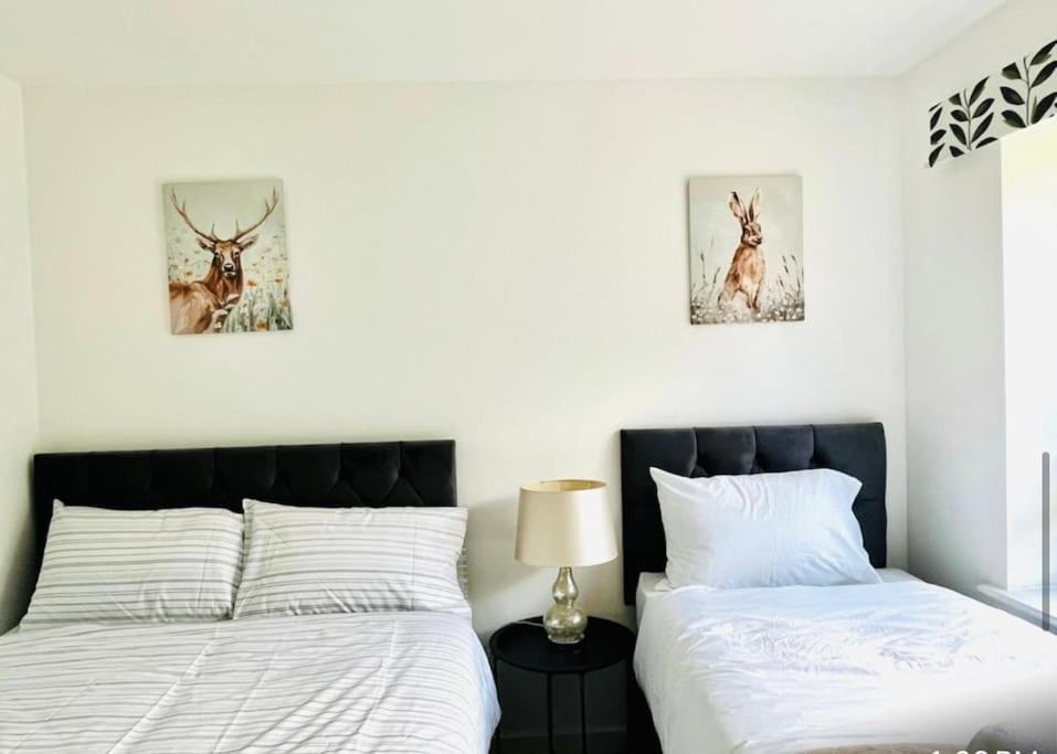 Ashford Retreat - Luxury Home With Double Parking ภายนอก รูปภาพ